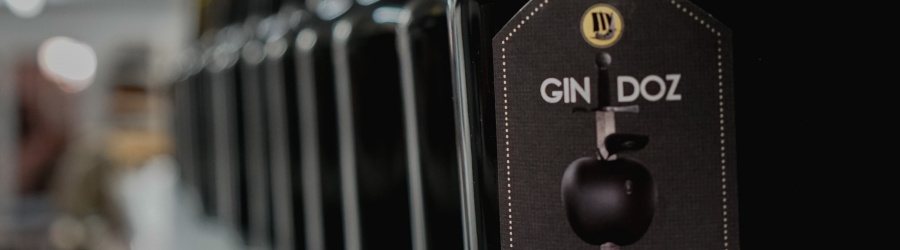 Gama Ginebra 42°